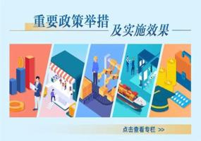 重要政策举措及实施效果